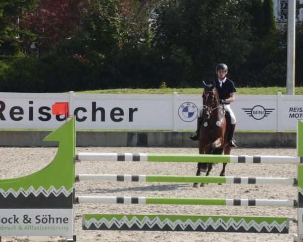 Reitturnier Babenhausen 2023