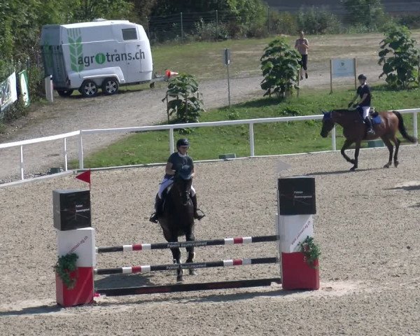 Reitturnier Bülach 2023