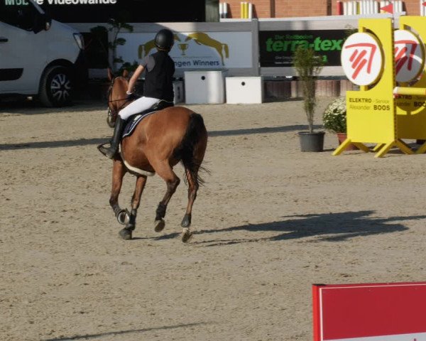 Reitturnier Winterlingen 2023