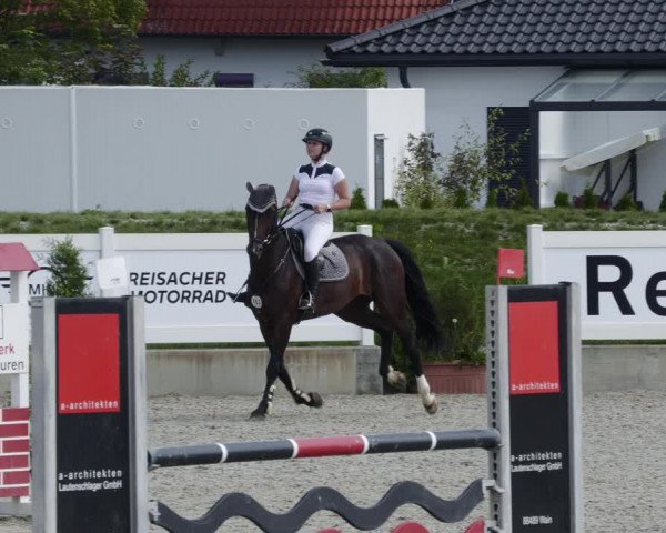 Reitturnier Babenhausen 2023