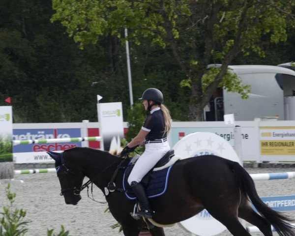 Reitturnier Babenhausen 2023