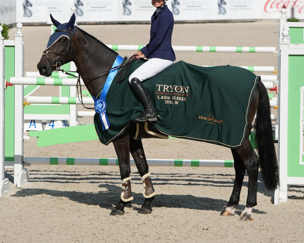 broodmare Isla de Muze (Westphalian, 2013, from Iceman de Muze)