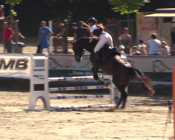 Reitturnier Langenleuba - Oberhain 2023