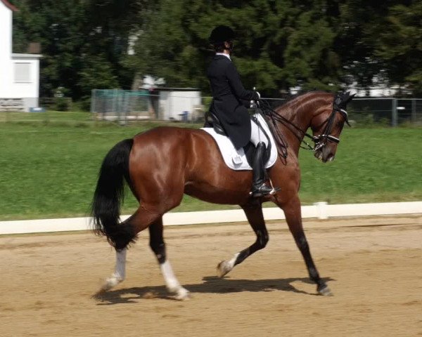Reitturnier Babenhausen 2023