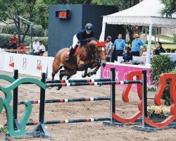 jumper Brianne Tn (KWPN (Royal Dutch Sporthorse), 2006, from Verdi)