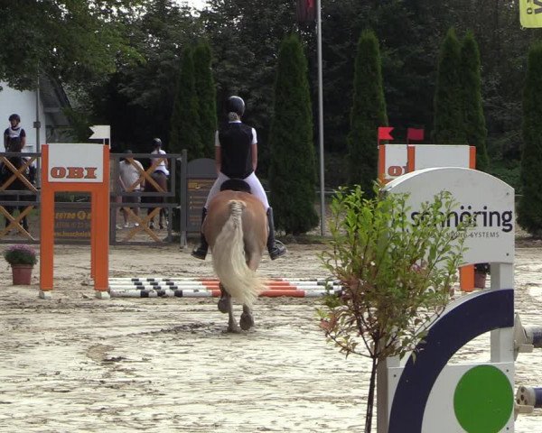 Reitturnier Meinerzhagen 2023