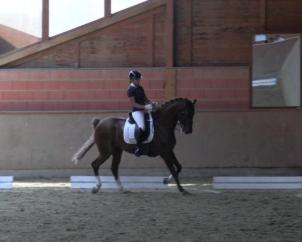 Reitturnier Dortmund-Barop 2023
