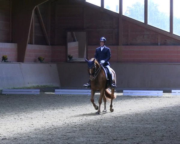Reitturnier Dortmund-Barop 2023