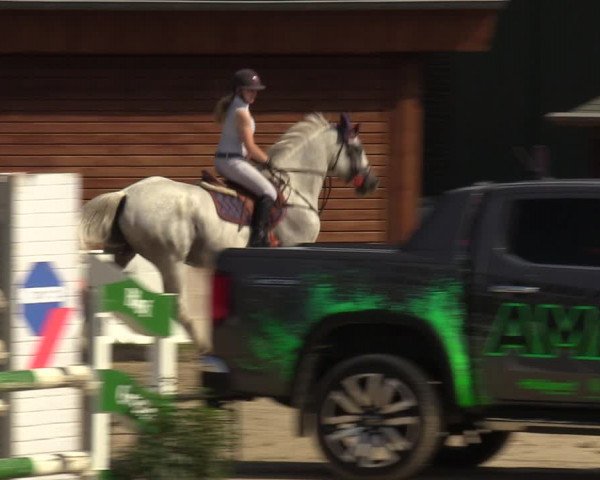 Reitturnier Dortmund-Barop 2023