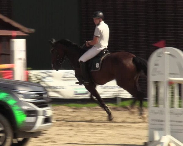 Reitturnier Dortmund-Barop 2023