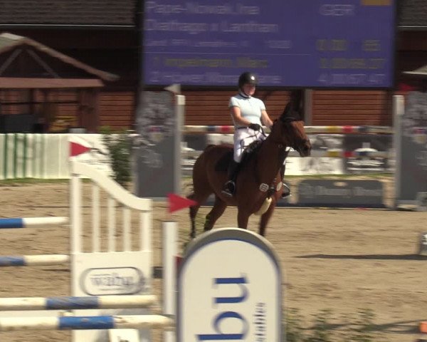 Reitturnier Dortmund-Barop 2023