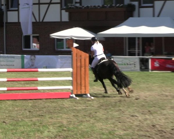 Reitturnier Münchehofe 2023