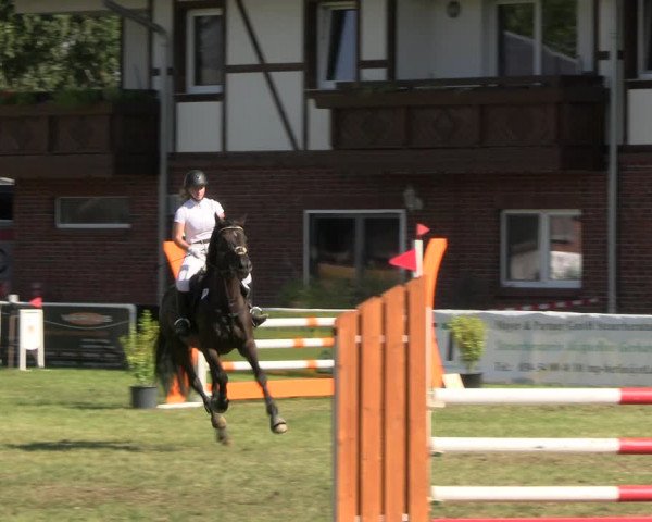 Reitturnier Münchehofe 2023