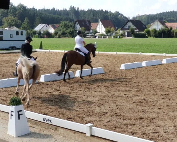 Reitturnier Babenhausen 2023