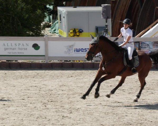 Reitturnier Winterlingen 2023