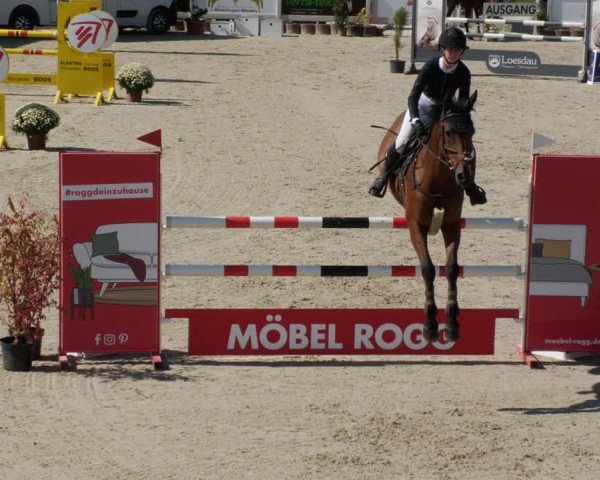 Reitturnier Winterlingen 2023