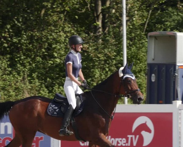 Reitturnier Babenhausen 2023