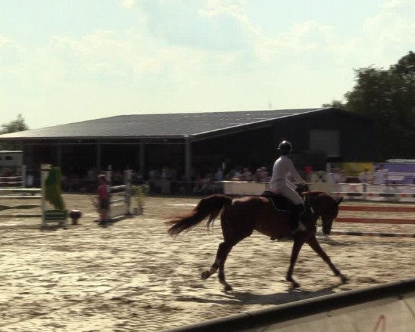 Reitturnier Meinerzhagen 2023