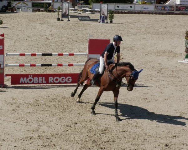 Reitturnier Winterlingen 2023