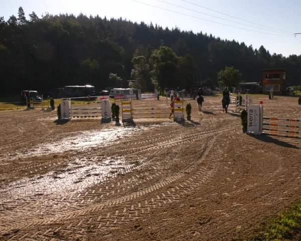 Reitturnier Bad Liebenstein/Sorga 2023