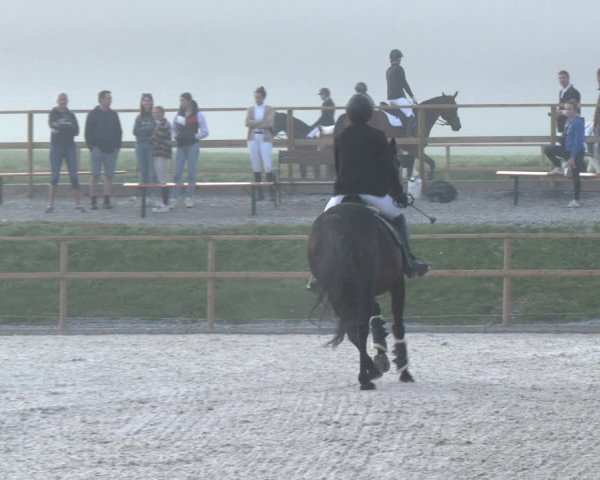 Reitturnier St. Ulrich am Pillersee 2023