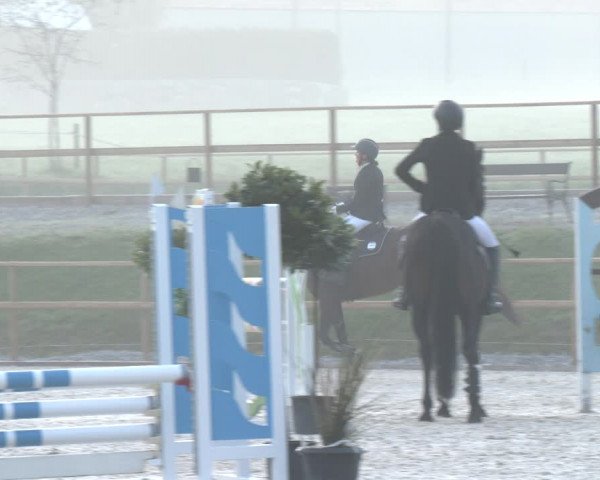 Reitturnier St. Ulrich am Pillersee 2023