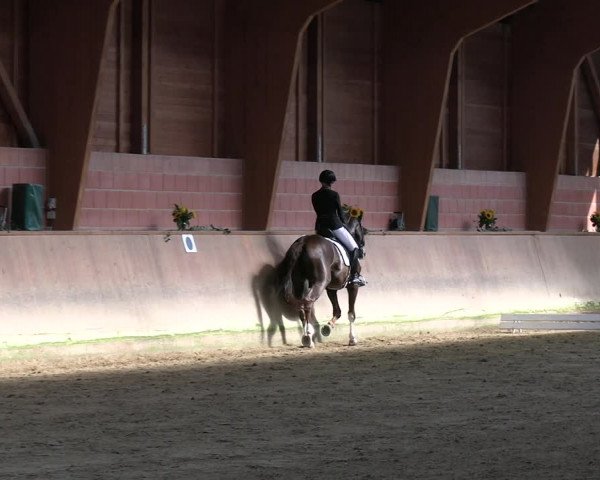 Reitturnier Dortmund-Barop 2023