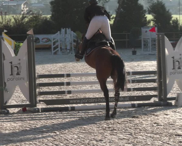 Reitturnier St. Ulrich am Pillersee 2023
