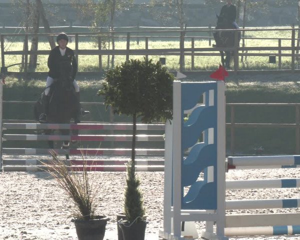 Reitturnier St. Ulrich am Pillersee 2023