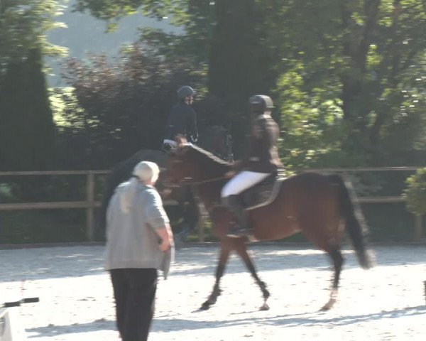 Reitturnier St. Ulrich am Pillersee 2023