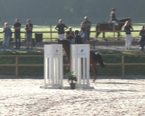 Reitturnier St. Ulrich am Pillersee 2023