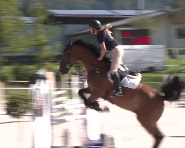 Reitturnier St. Ulrich am Pillersee 2023