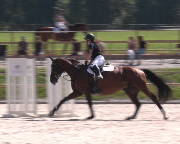 Reitturnier St. Ulrich am Pillersee 2023