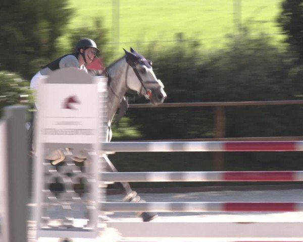 Reitturnier St. Ulrich am Pillersee 2023