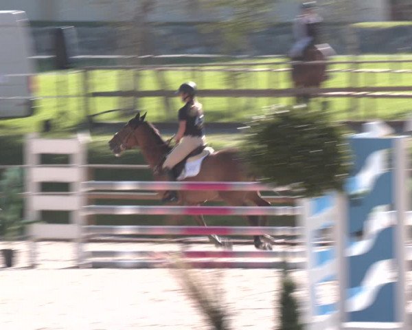 Reitturnier St. Ulrich am Pillersee 2023