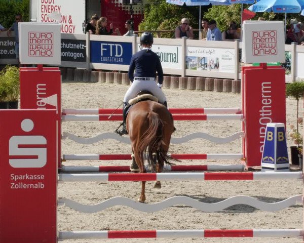 Reitturnier Winterlingen 2023