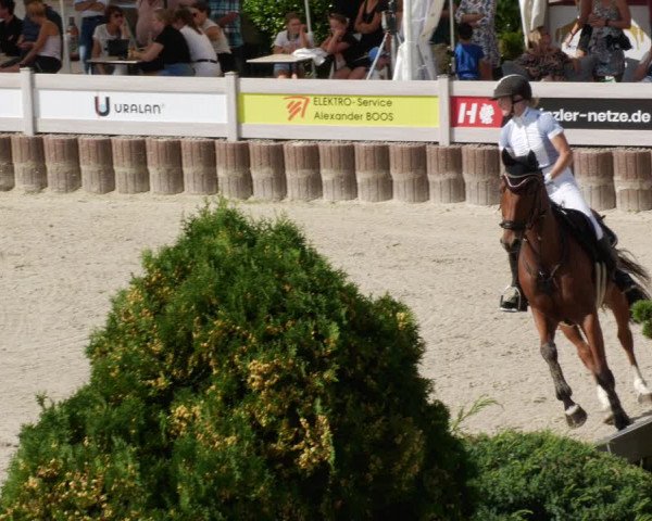 Reitturnier Winterlingen 2023