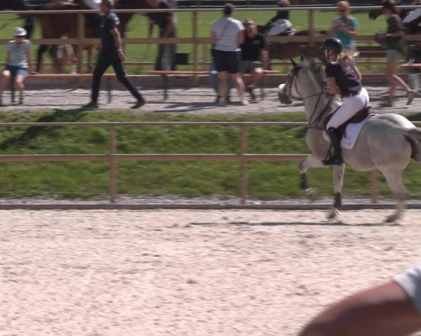 Reitturnier St. Ulrich am Pillersee 2023