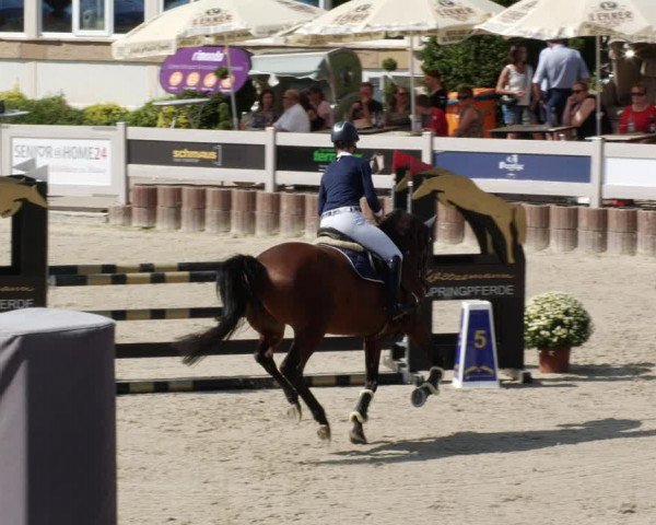 Reitturnier Winterlingen 2023