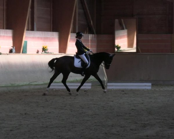 Reitturnier Dortmund-Barop 2023