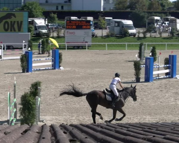 Reitturnier Bülach 2023