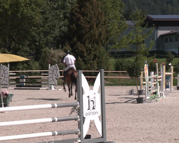 Reitturnier St. Ulrich am Pillersee 2023