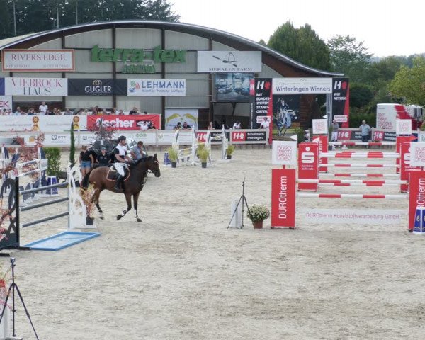 Reitturnier Winterlingen 2023