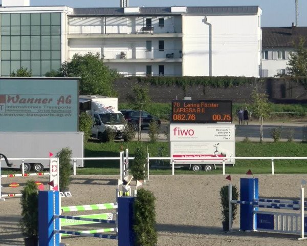 Reitturnier Bülach 2023