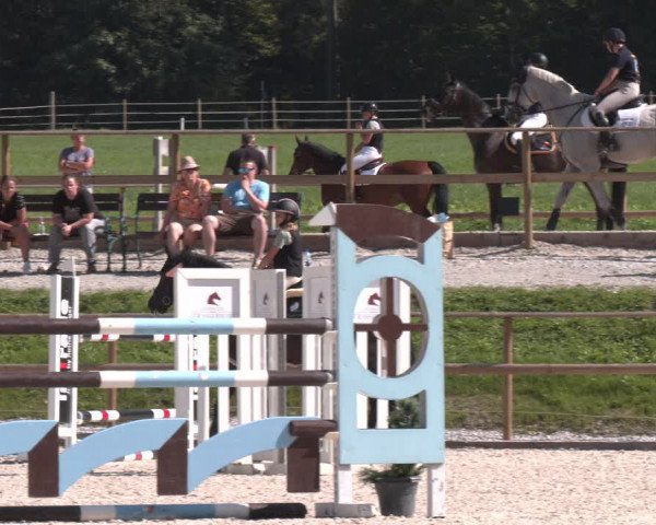 Reitturnier St. Ulrich am Pillersee 2023