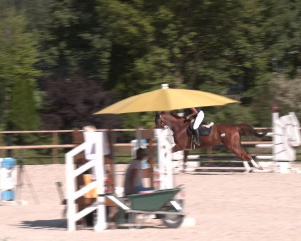 Reitturnier St. Ulrich am Pillersee 2023