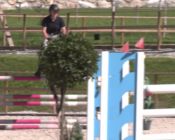 Reitturnier St. Ulrich am Pillersee 2023