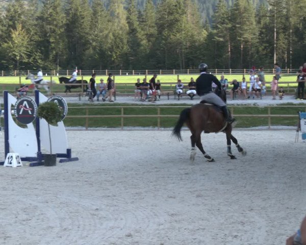 Reitturnier St. Ulrich am Pillersee 2023