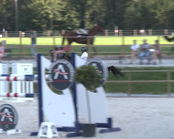 Reitturnier St. Ulrich am Pillersee 2023