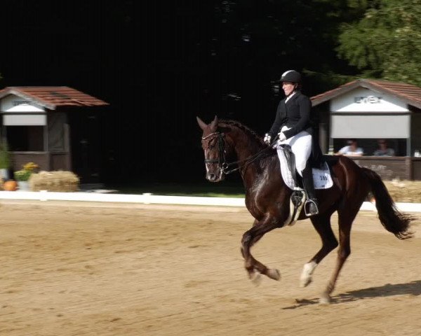 Reitturnier Babenhausen 2023